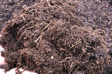 Premium Bark Mulch