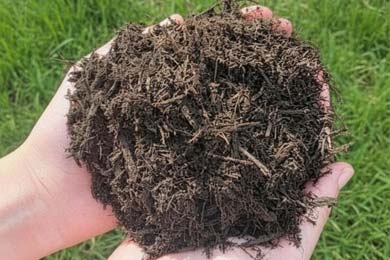 Premium Bark Dark Brown Color Enhanced 