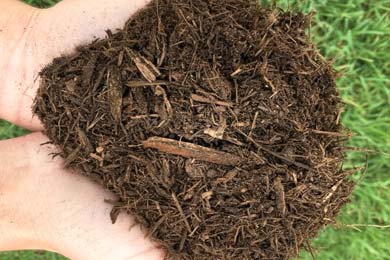 Premium Bark Mulch